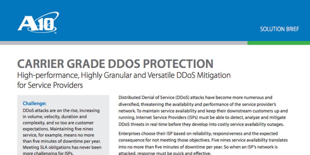 Carrier Grade DDoS Protection