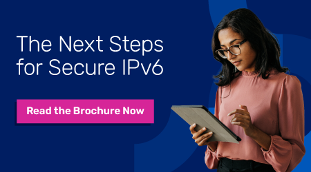 Blog CTA Banner for The Next Steps for Secure IPv6