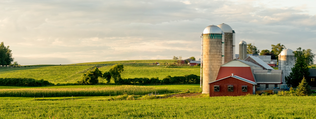 Closing the Digital Divide with Rural Broadband