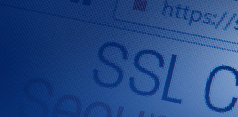 SSL Screen