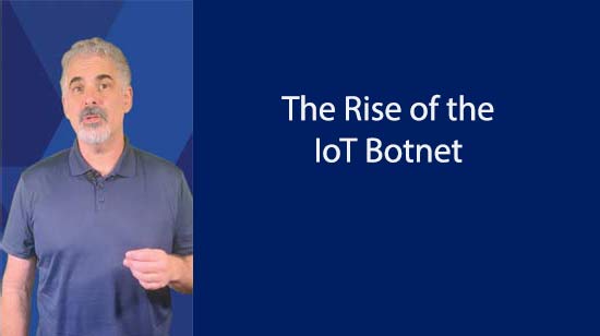 The Rise of the IoT Botnet